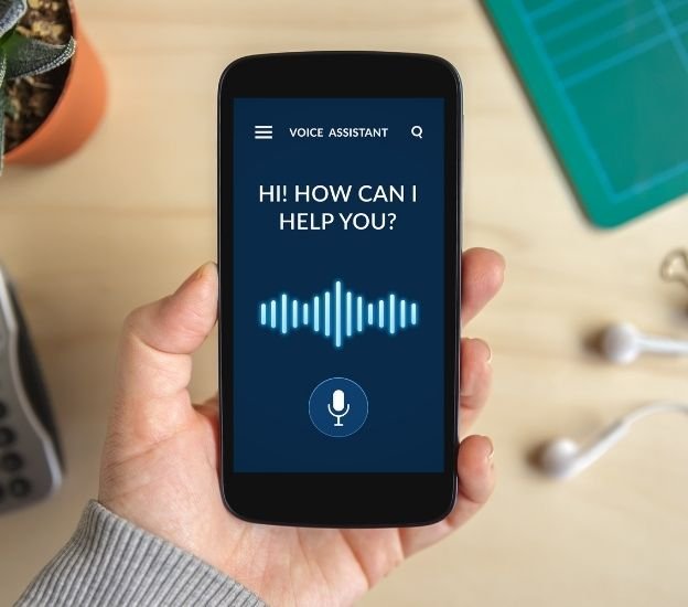 Voice Assistance